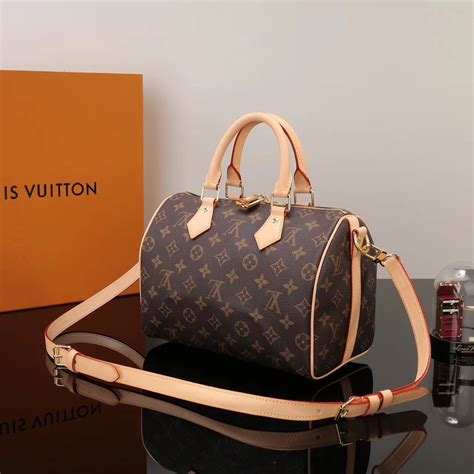 louis vuitton canvas speedy 25|louis vuitton speedy 25 price.